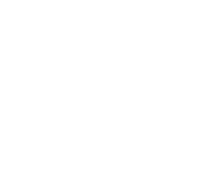 Hillsborough County Tax Collector