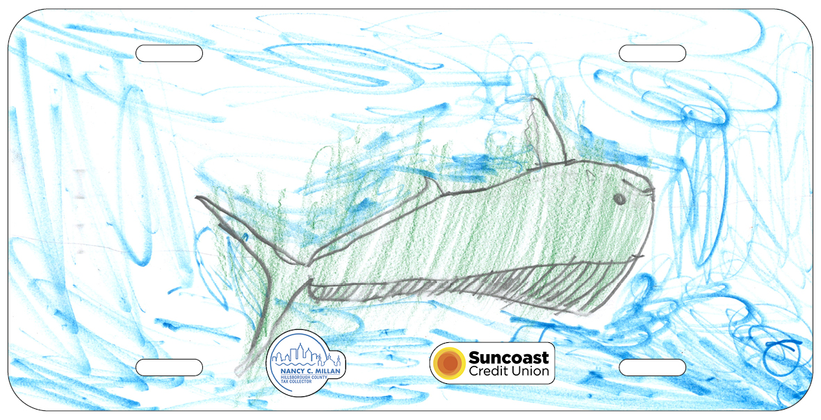 Christopher Hillmann