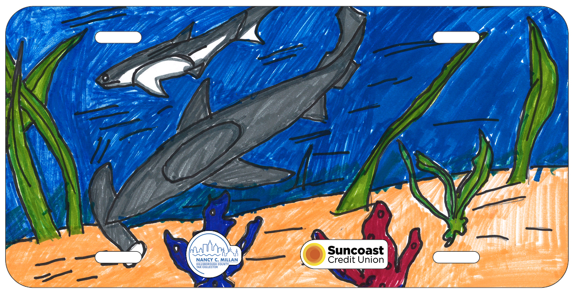 Joel Bardellini-Macias