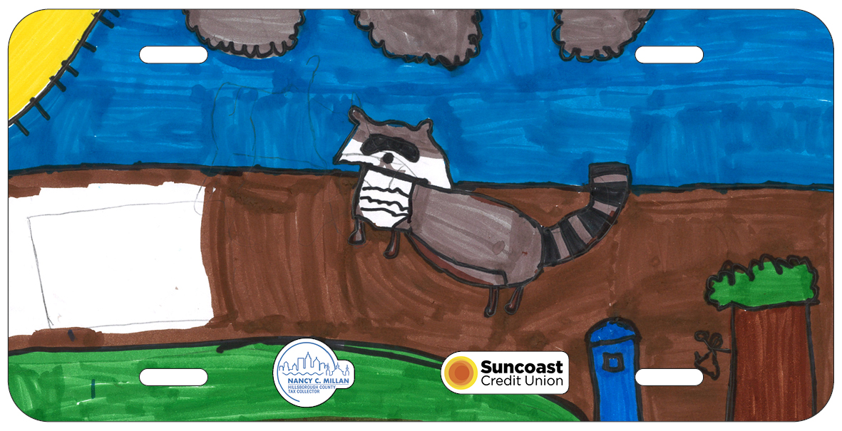 Mauricio Pacheco Rivera