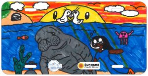 Isabel Morrell-Cabrera