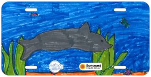 Valentina Navarro-Montoya